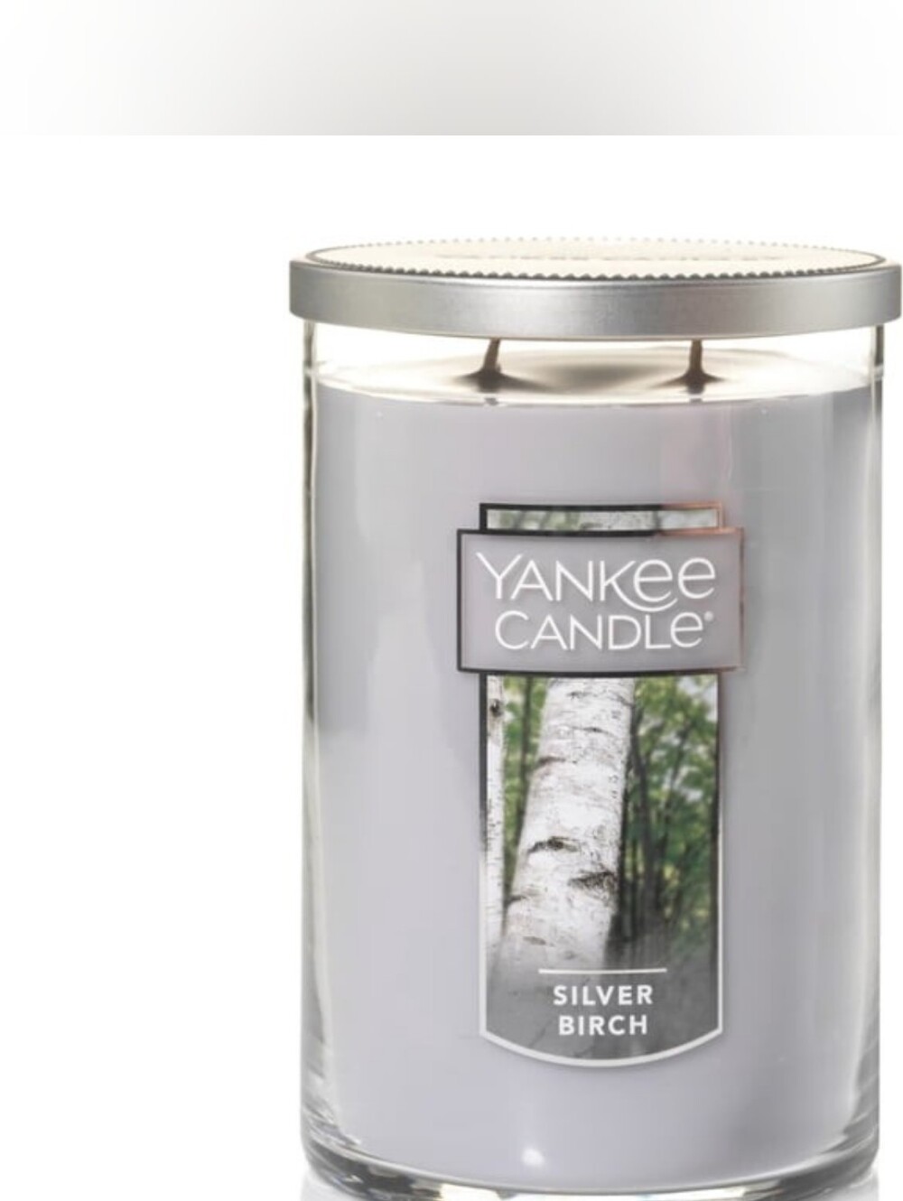Yankee Candle Silver Birch 2 Wick Candle
